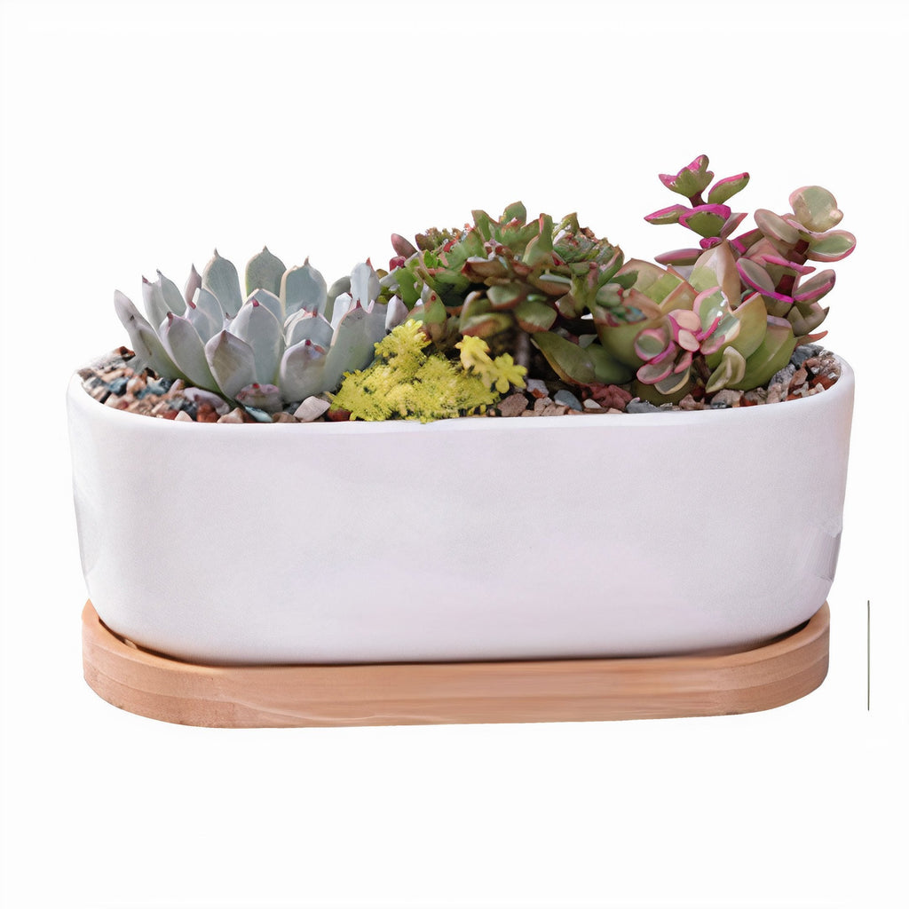 Succulent 7in White Ceramic Elongated Planter