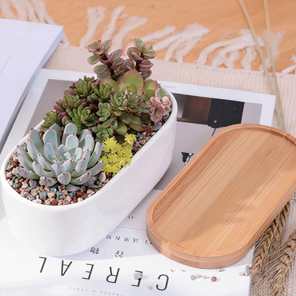 Succulent 7in White Ceramic Elongated Planter