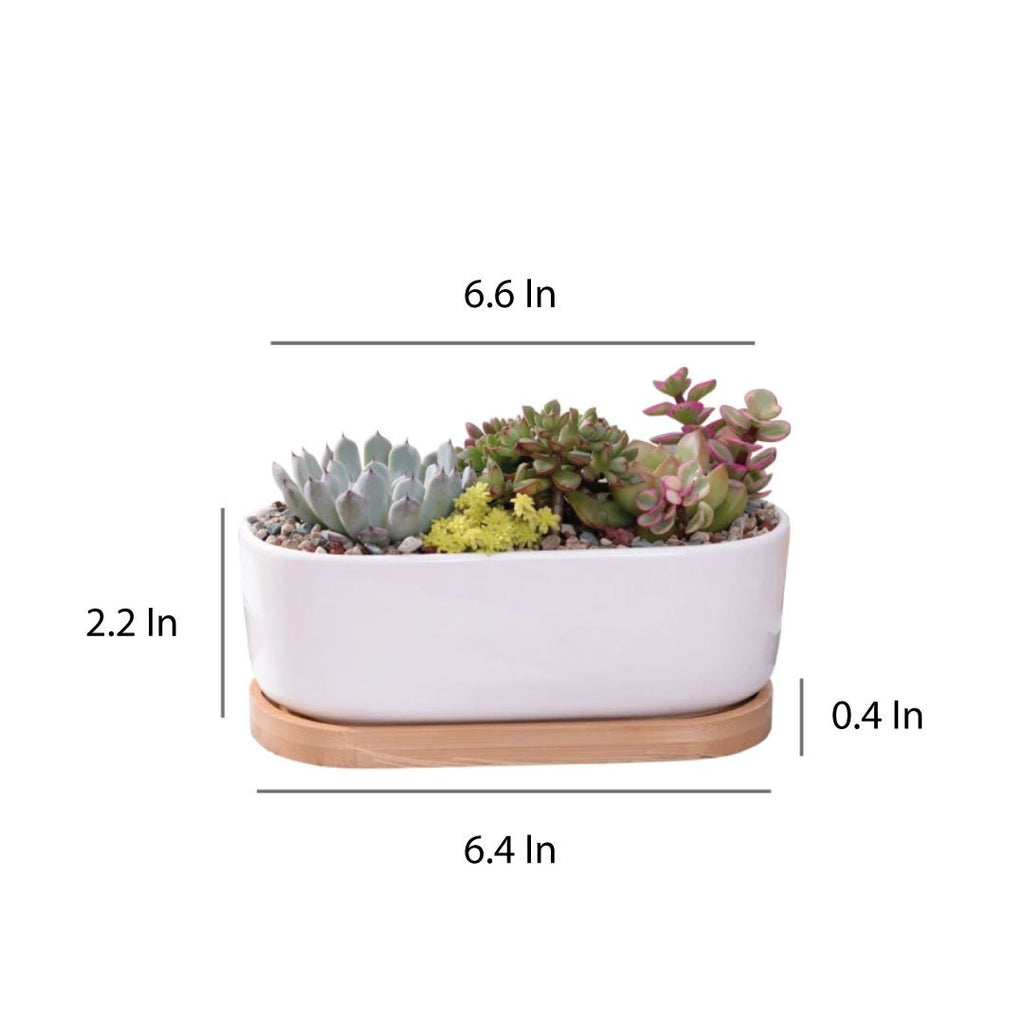 Succulent 7in White Ceramic Elongated Planter