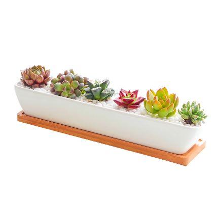 Succulent 11in White Ceramic Long Planter