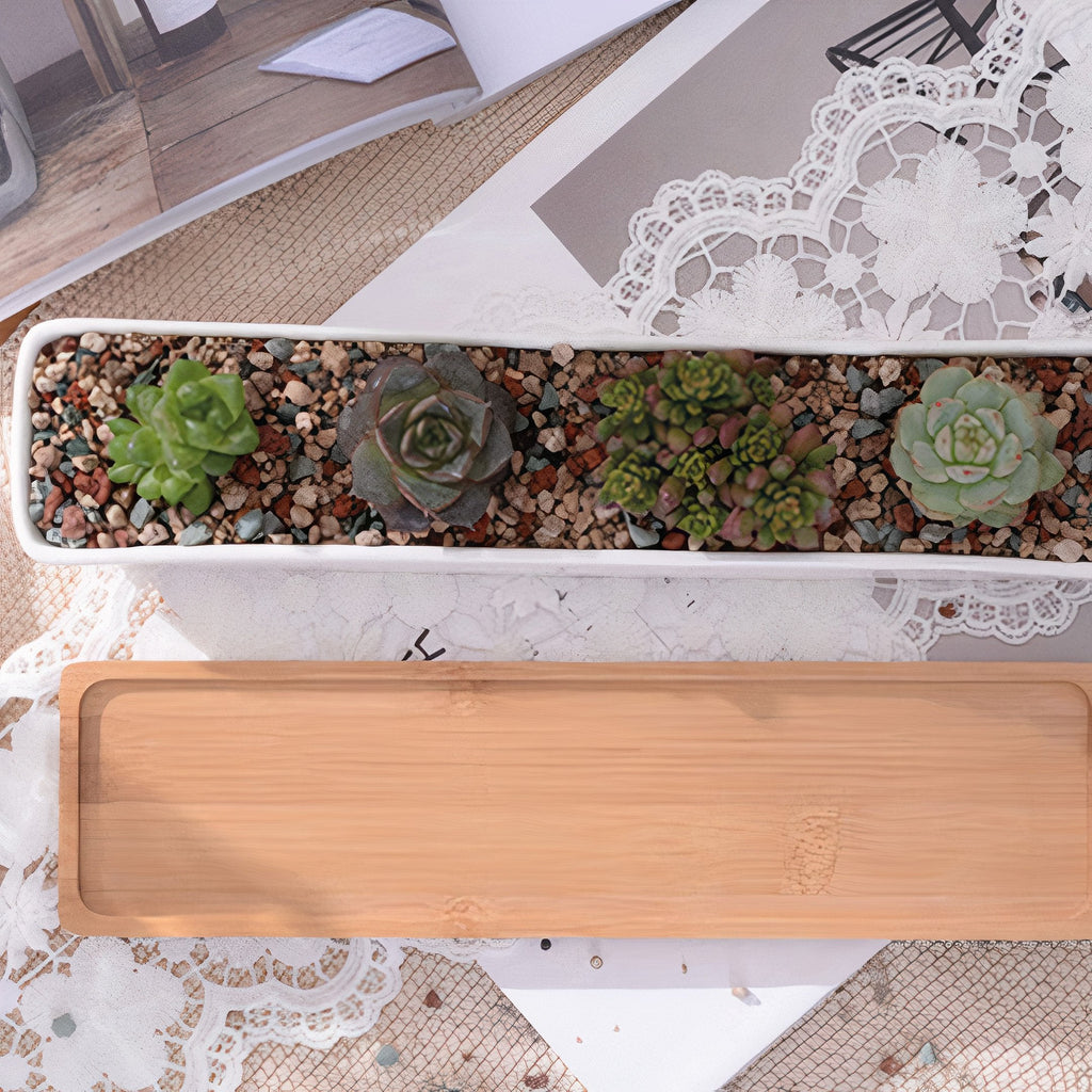 Succulent 11in White Ceramic Long Planter