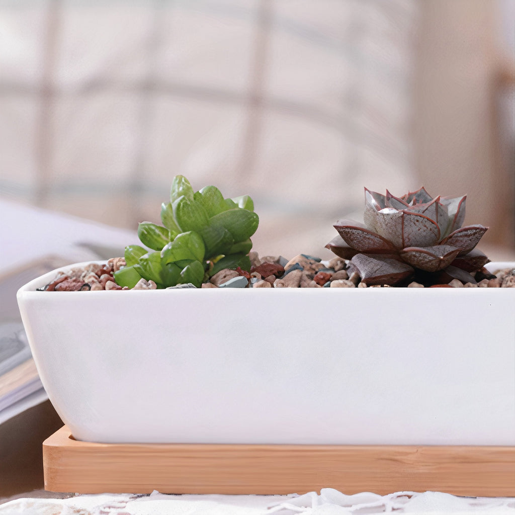 Succulent 11in White Ceramic Long Planter