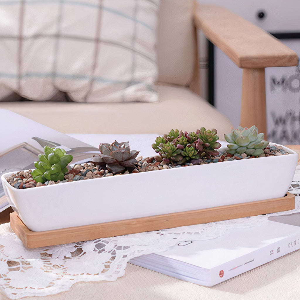 Succulent 11in White Ceramic Long Planter