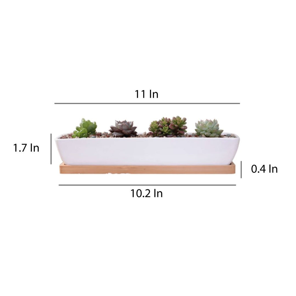 Succulent 11in White Ceramic Long Planter