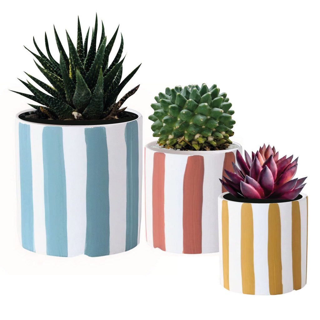 Playful Multicolor Ceramic Planter Set of 3